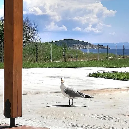 Apartament Mirini • Ancient Stagira Apts • Chalkidiki
