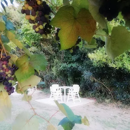 Mirini • Ancient Stagira Apts • Chalkidiki Apartament